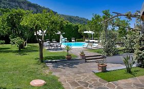 Amore Rentals - Casa Limoneto
